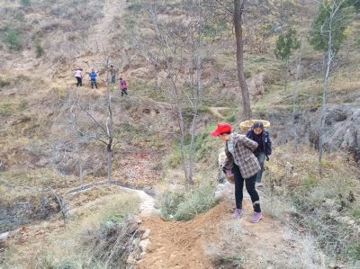 山间渠水响，冬灌保苗忙