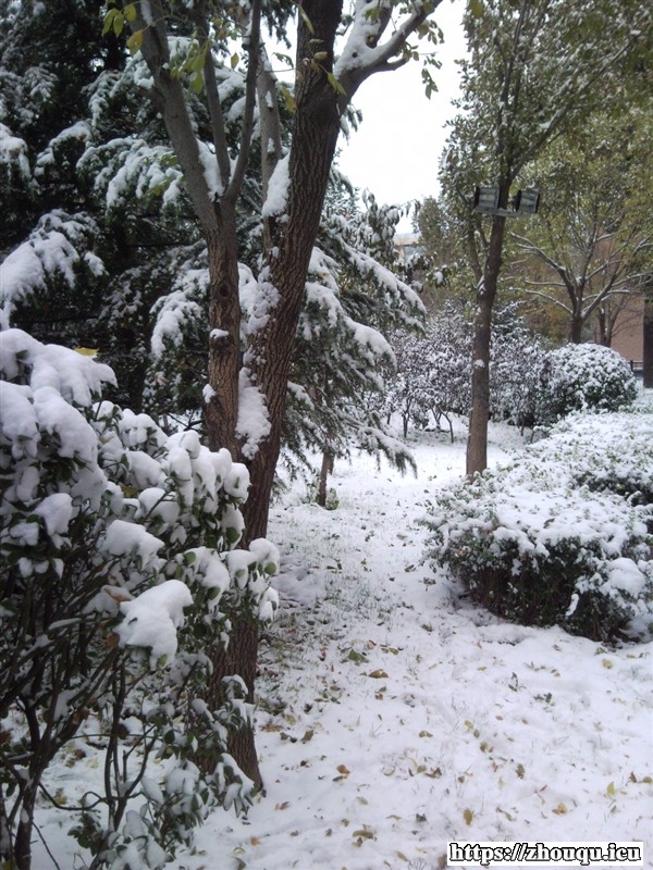 北京的冬天——2008年冬季拍摄